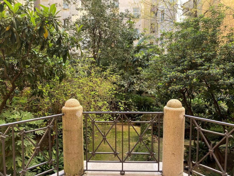 テラスから見える中庭