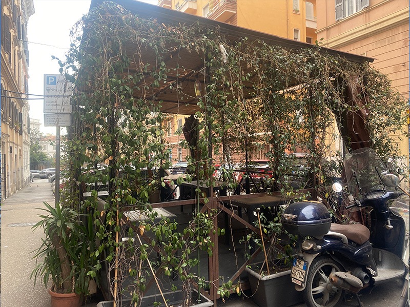 屋外レストランの植栽